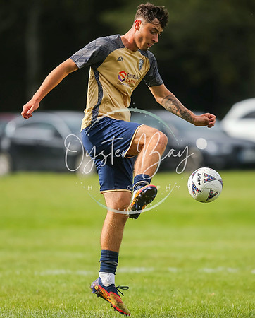 SouthEastSwans_1-4_Egerton_233