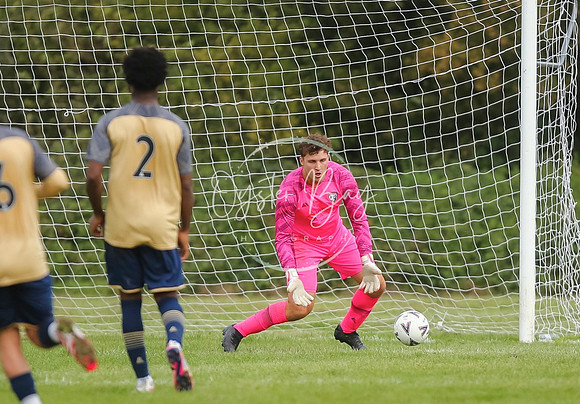 SouthEastSwans_1-4_Egerton_236