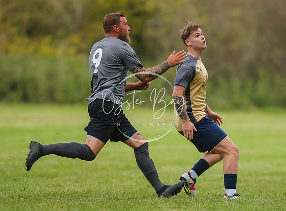 SouthEastSwans_1-4_Egerton_235