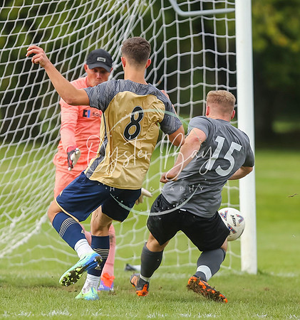 SouthEastSwans_1-4_Egerton_238
