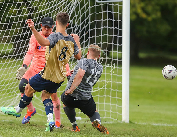 SouthEastSwans_1-4_Egerton_239