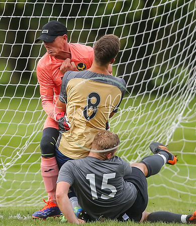 SouthEastSwans_1-4_Egerton_240