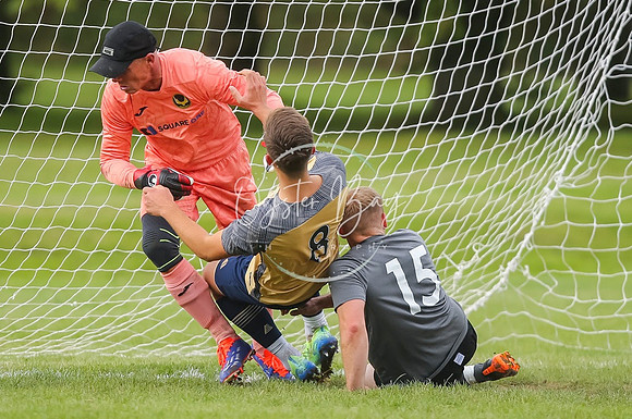 SouthEastSwans_1-4_Egerton_242