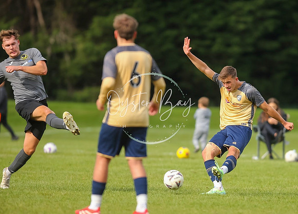SouthEastSwans_1-4_Egerton_244