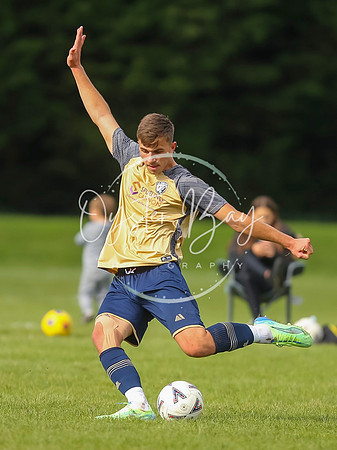 SouthEastSwans_1-4_Egerton_243