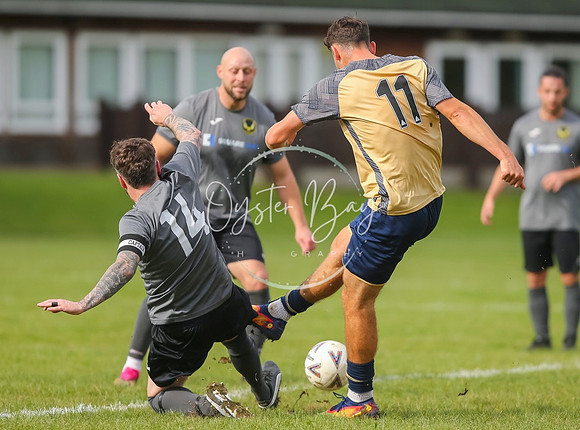 SouthEastSwans_1-4_Egerton_246
