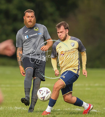 SouthEastSwans_1-4_Egerton_247