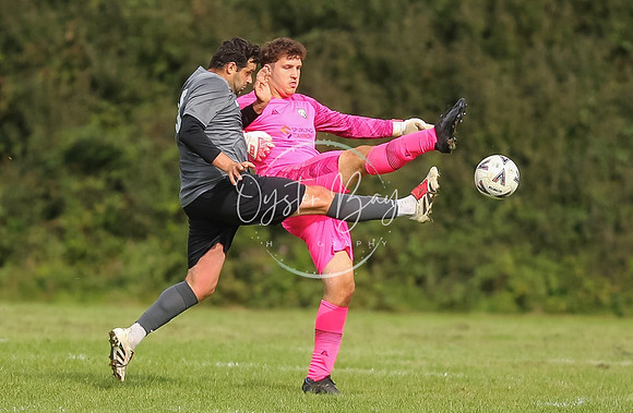 SouthEastSwans_1-4_Egerton_253