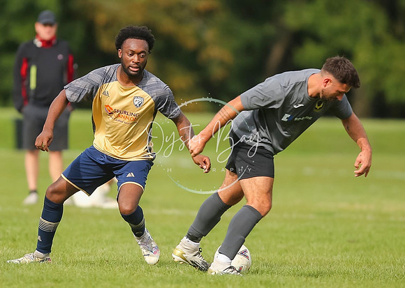 SouthEastSwans_1-4_Egerton_251