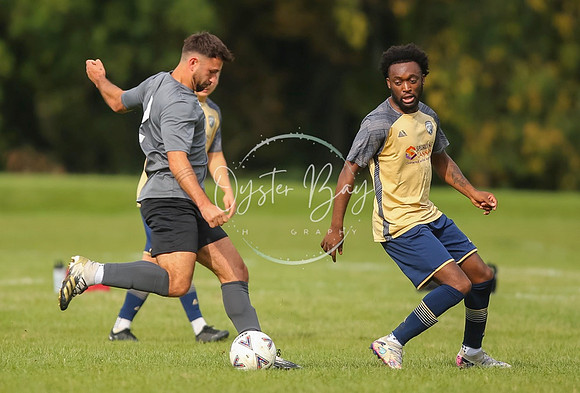 SouthEastSwans_1-4_Egerton_252