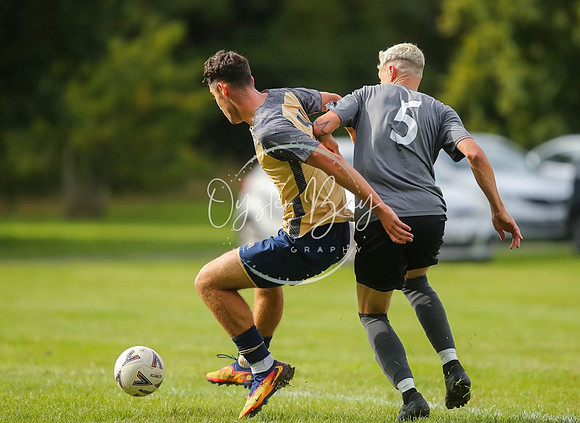 SouthEastSwans_1-4_Egerton_258