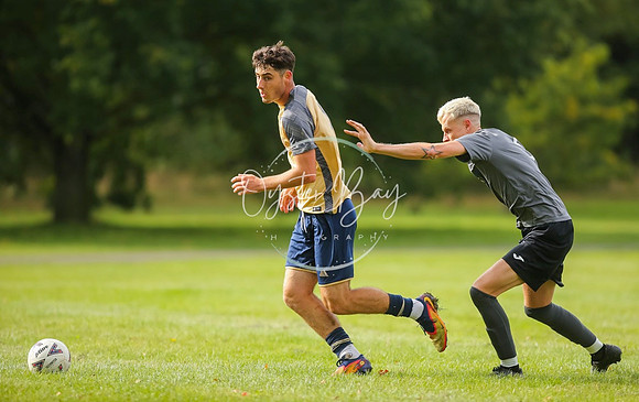 SouthEastSwans_1-4_Egerton_260
