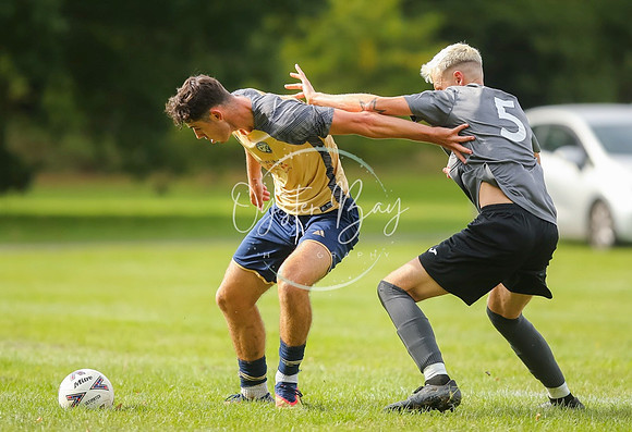 SouthEastSwans_1-4_Egerton_259