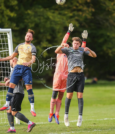SouthEastSwans_1-4_Egerton_263