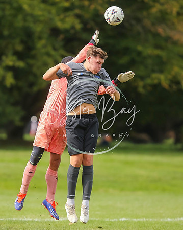 SouthEastSwans_1-4_Egerton_264