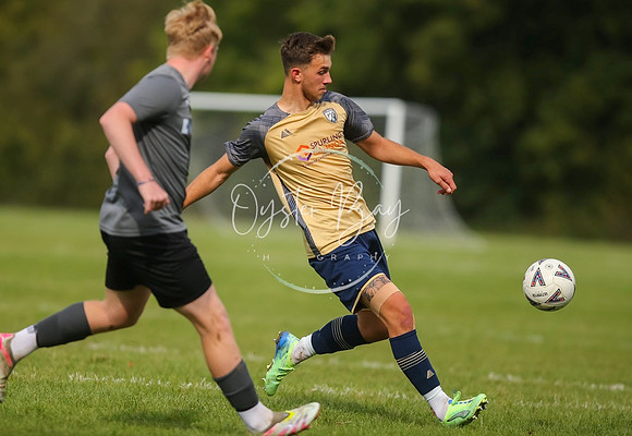 SouthEastSwans_1-4_Egerton_266