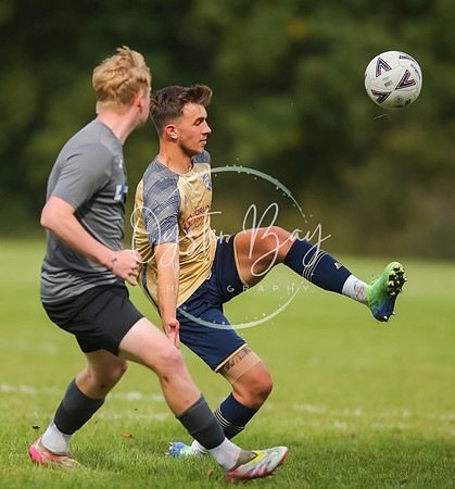 SouthEastSwans_1-4_Egerton_269