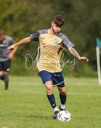 SouthEastSwans_1-4_Egerton_274