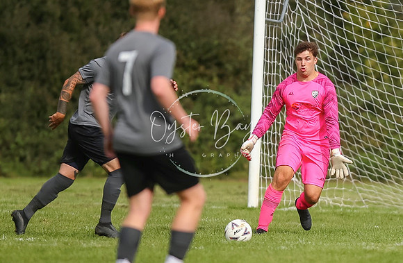 SouthEastSwans_1-4_Egerton_276