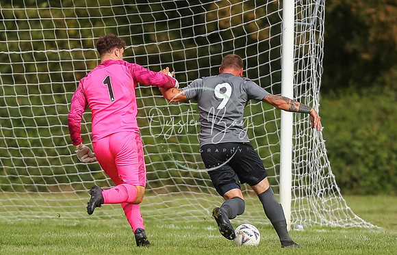 SouthEastSwans_1-4_Egerton_277