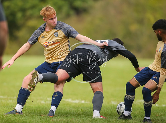 SouthEastSwans_1-4_Egerton_281