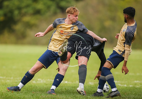 SouthEastSwans_1-4_Egerton_282