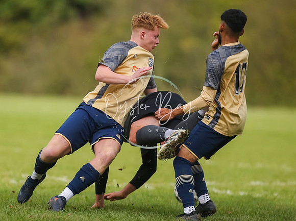 SouthEastSwans_1-4_Egerton_283