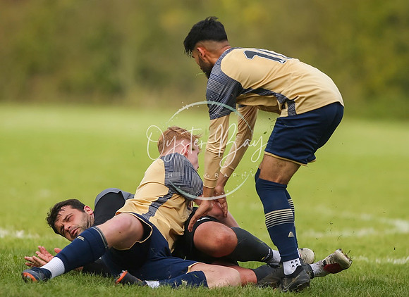 SouthEastSwans_1-4_Egerton_284