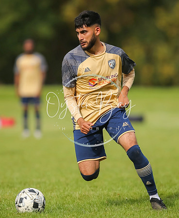 SouthEastSwans_1-4_Egerton_286