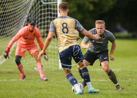 SouthEastSwans_1-4_Egerton_295