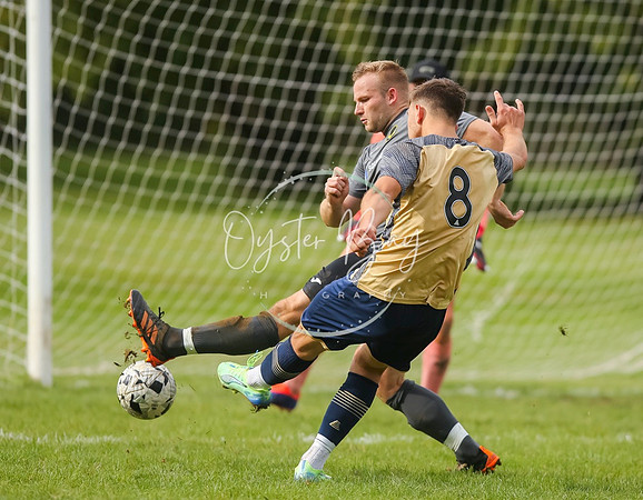 SouthEastSwans_1-4_Egerton_297