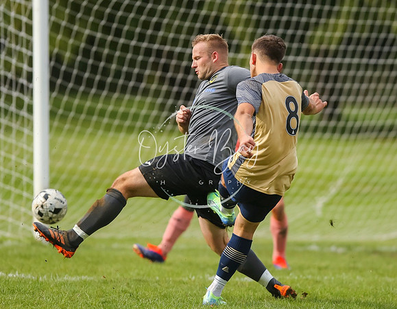 SouthEastSwans_1-4_Egerton_298