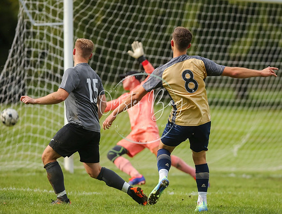 SouthEastSwans_1-4_Egerton_299