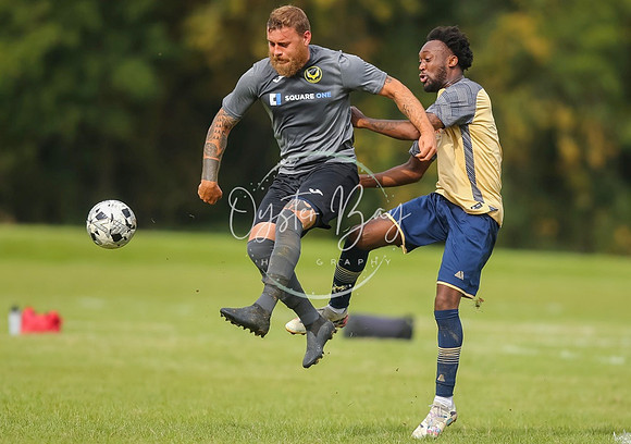 SouthEastSwans_1-4_Egerton_302