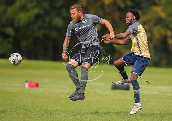 SouthEastSwans_1-4_Egerton_303