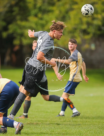 SouthEastSwans_1-4_Egerton_307