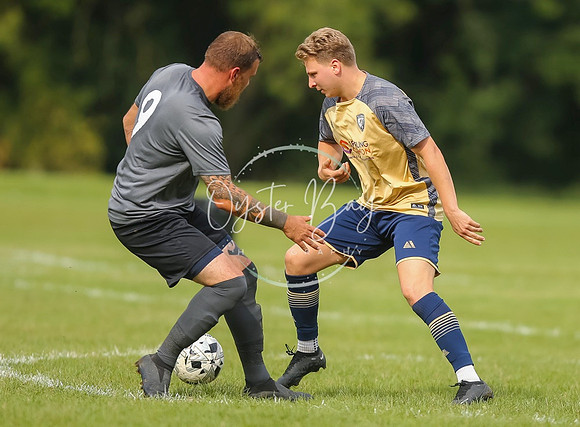 SouthEastSwans_1-4_Egerton_308