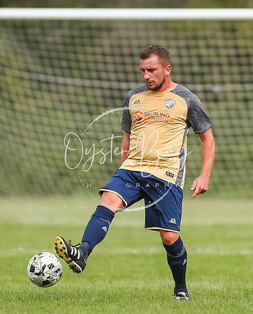 SouthEastSwans_1-4_Egerton_310