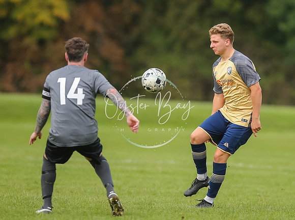SouthEastSwans_1-4_Egerton_311