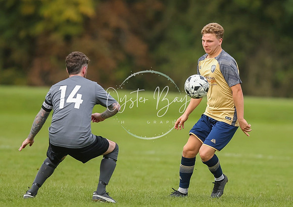 SouthEastSwans_1-4_Egerton_312