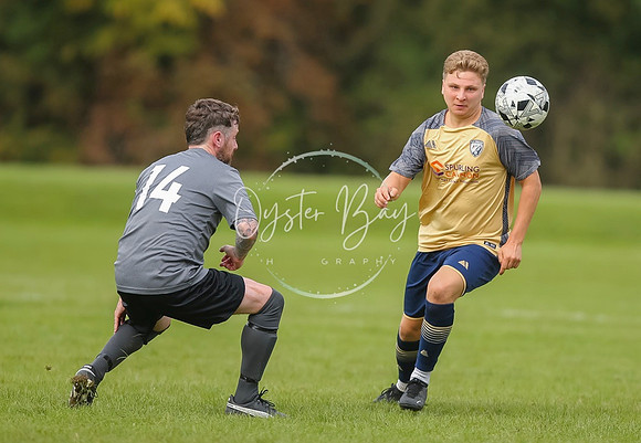 SouthEastSwans_1-4_Egerton_313