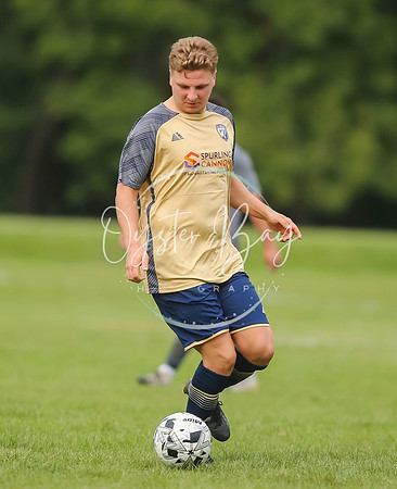 SouthEastSwans_1-4_Egerton_314