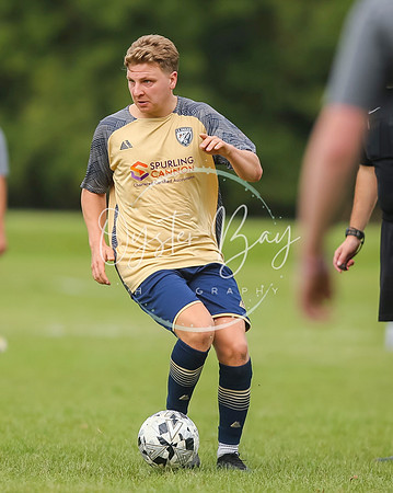 SouthEastSwans_1-4_Egerton_315