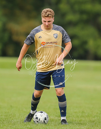 SouthEastSwans_1-4_Egerton_316