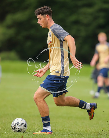 SouthEastSwans_1-4_Egerton_317