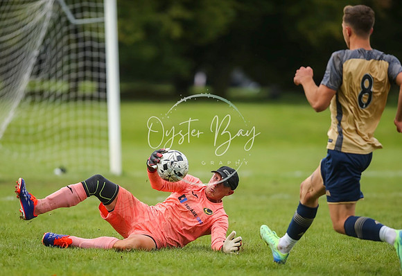 SouthEastSwans_1-4_Egerton_320