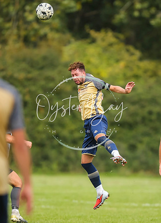 SouthEastSwans_1-4_Egerton_319
