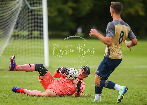 SouthEastSwans_1-4_Egerton_321