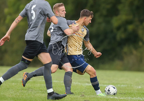 SouthEastSwans_1-4_Egerton_322