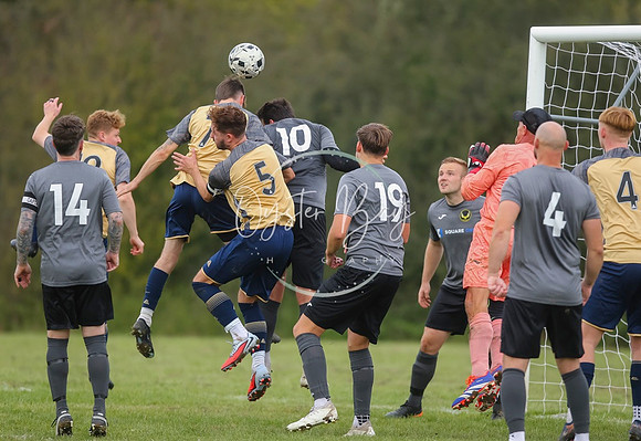 SouthEastSwans_1-4_Egerton_325